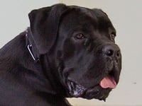 Publication : De finibus terrae