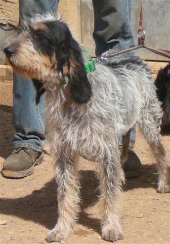 Publication : De la fontegude 