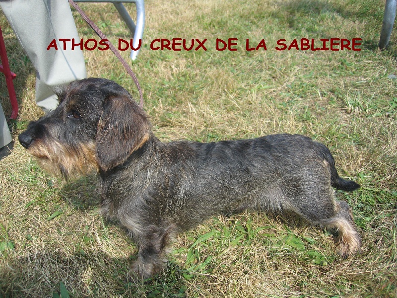 Athos Du creux de la sabliere