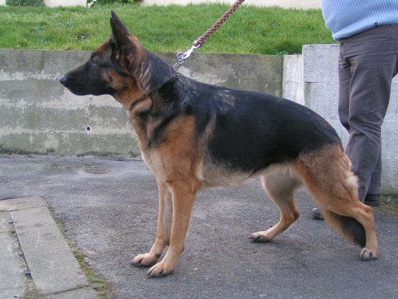 Publication : Le Val de Guémy