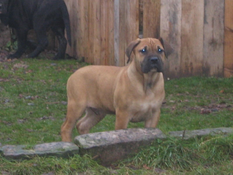 Publication : des Gardiens des Pelerins 