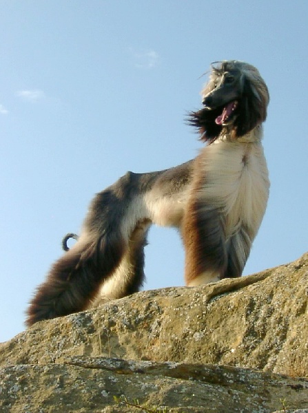 Publication : Jatabe Auteur : jatabe