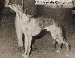 baydale Cinnamon