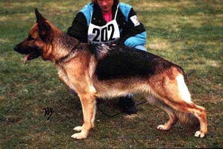 Gina vom fikenschalg