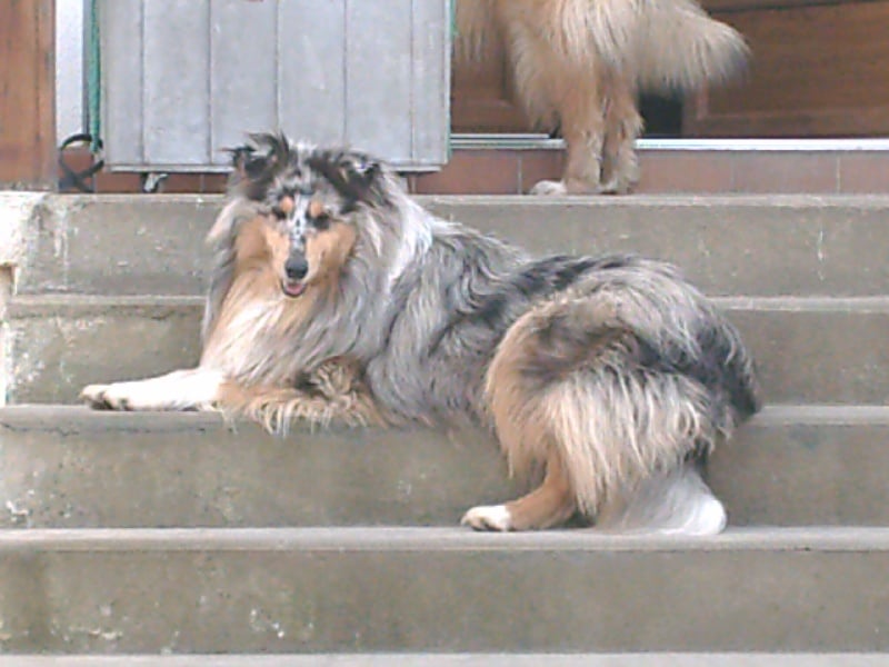 Bubble blue Du clos de sea-wind