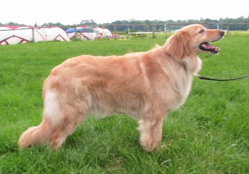 Ubelle Fabien de jye