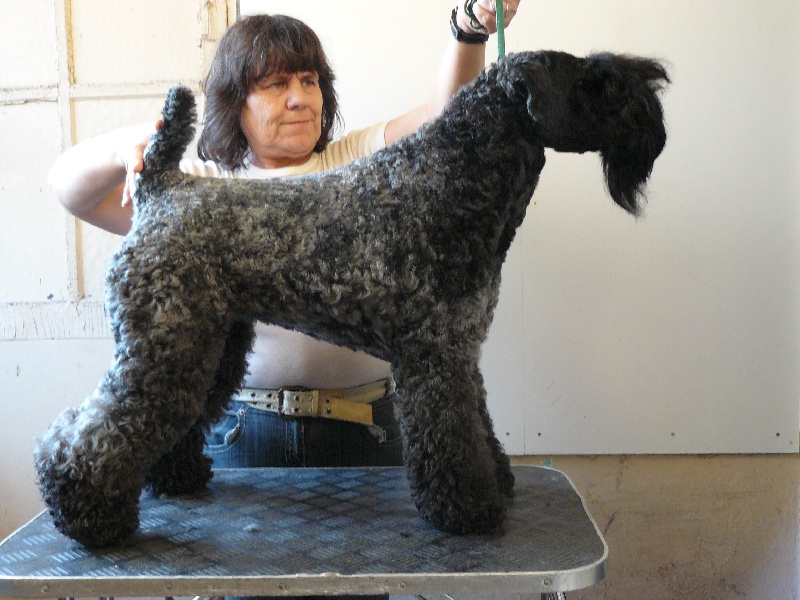 Publication : De grand vallon 