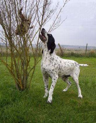 Publication : des Gorges de Franchard