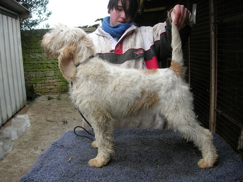 Publication : du sentier d'Aimeron Auteur : ELEVAGE DU SENTIER D'AIMERON