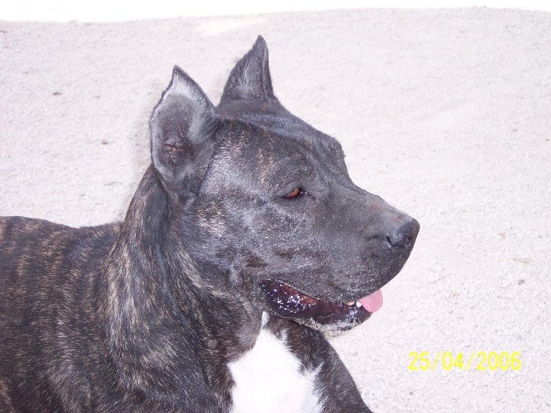 Publication : de la feuille de vigne 