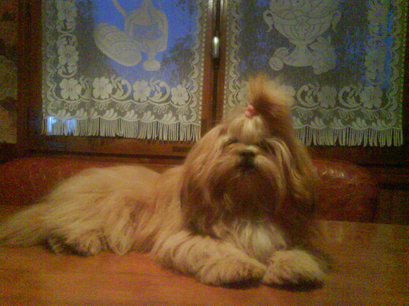 Publication : du Lac d'Annecy