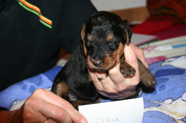 Publication : (Sans Affixe) Auteur : B BAVEREY