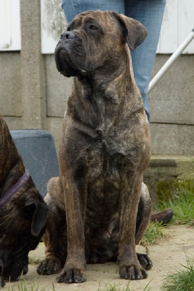 Publication : La Grazia Di Dio Auteur : Nancy Koper