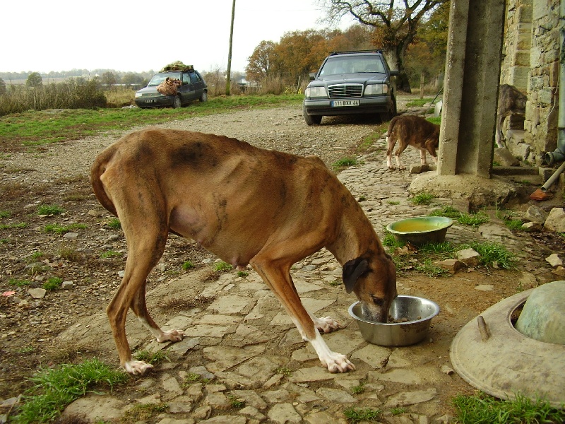 Publication : marvellous sugar Auteur : bquesada