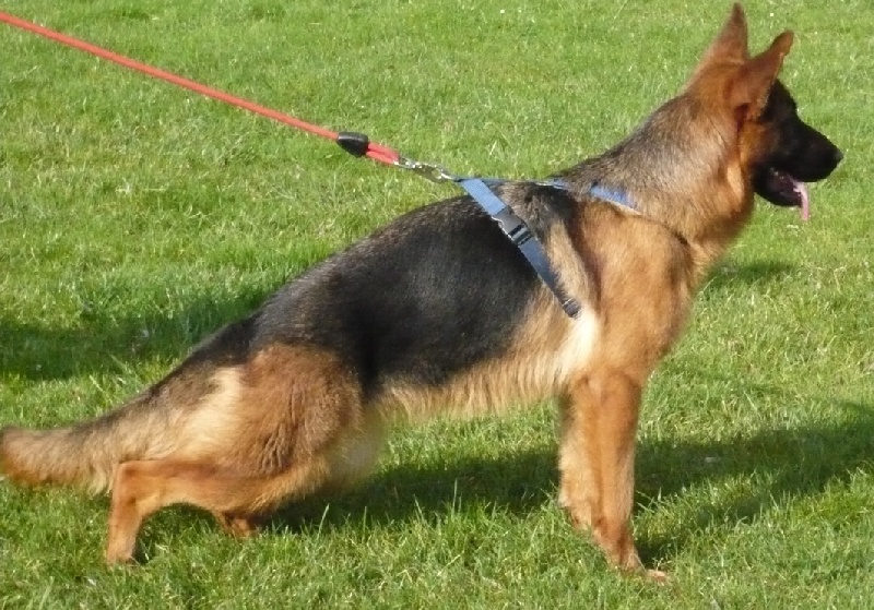 Publication : du domaine de Baccarat Auteur : AGATHA. SERGEANT