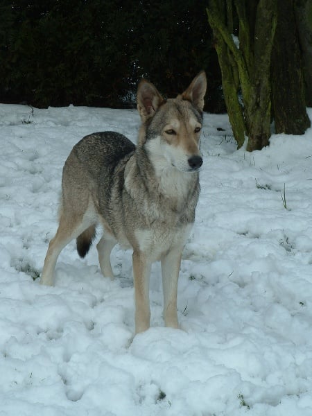 Publication : des glaces de l'Alaska 