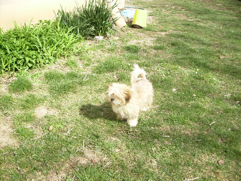 Publication : des Perles de Nacres 