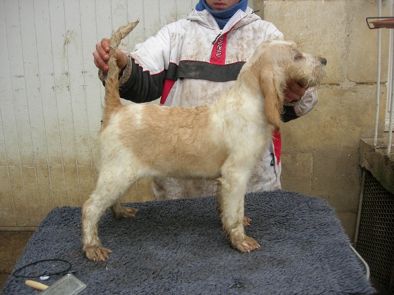 Publication : du sentier d'Aimeron Auteur : ELEVAGE DU SENTIER D'AIMERON