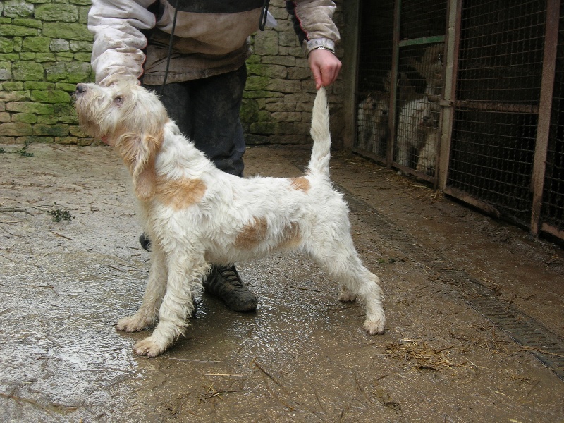 Publication : du sentier d'Aimeron Auteur : ELEVAGE DU SENTIER D'AIMERON