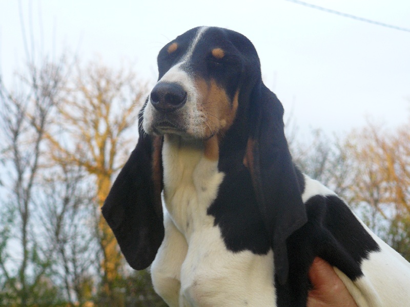 Publication : Des hauts d'en maze