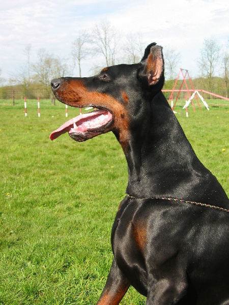 Publication : du Clos des Grognards 