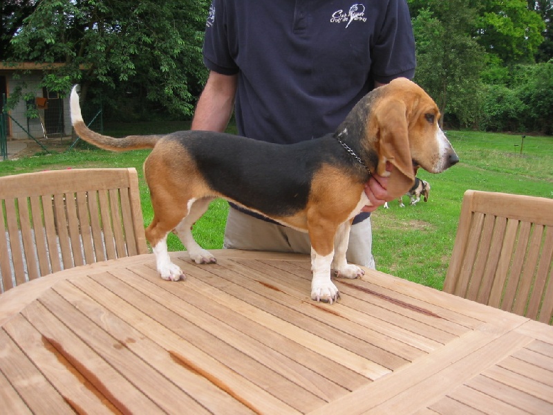 Publication : du Domaine Chirmont 