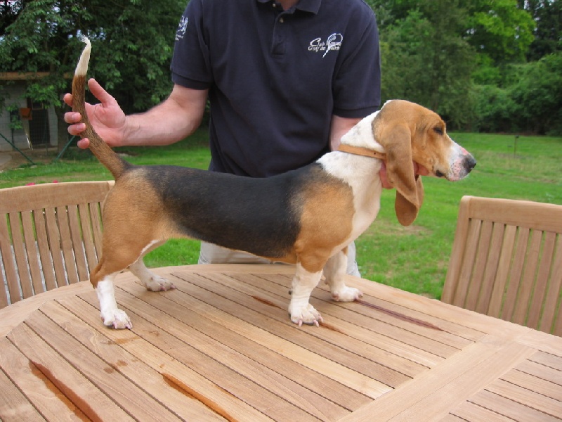 Publication : du Domaine Chirmont 