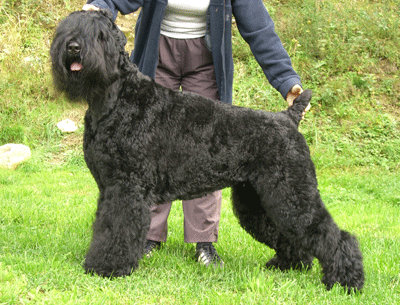 Publication : Setextra Auteur : Dervyn S.