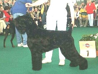 Publication : Setextra Auteur : Dervyn Svetlana