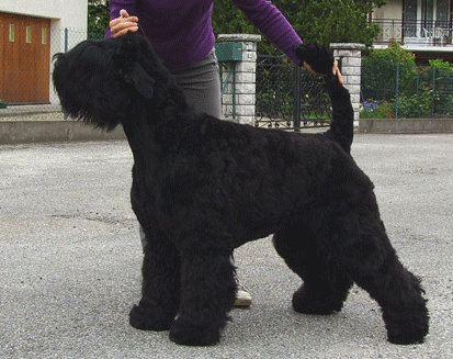 Publication : Setextra Auteur : Dervyn S.