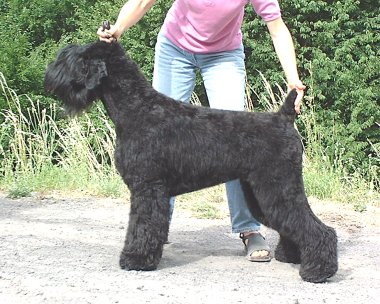 Publication : Setextra Auteur : Dervyn S.