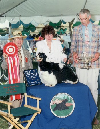 CH. my-ida-ho Diamonds-r-forever