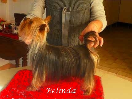 Belinda De la combe des essarts
