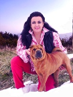 Étalon Shar Pei - CH. dei Draghi della Reverdita Toka's you make my heart sing