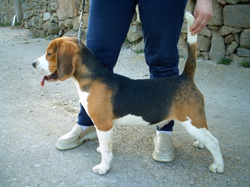 Publication : de Entresierras Auteur : Aurora Blanco