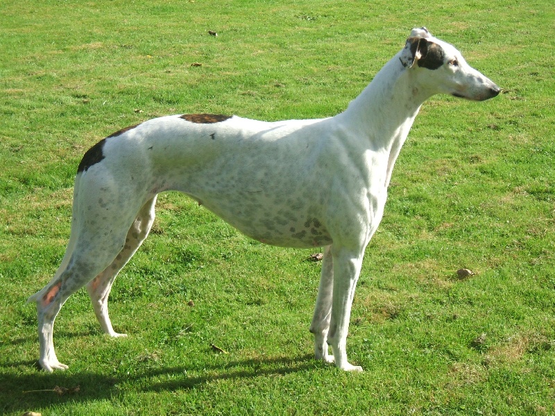 Publication : Bloomy's