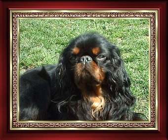 Richelieu (Sans Affixe)