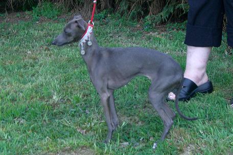 Allegria De la roche hue