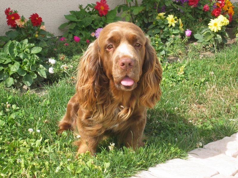 Publication : du charme aux loups 