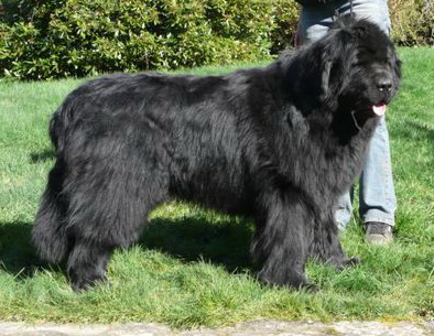 Um dit ulster of Sea Bird Sanctuary