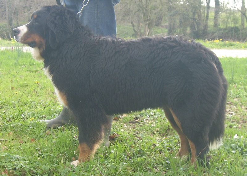 Publication : Des roches du mettey 