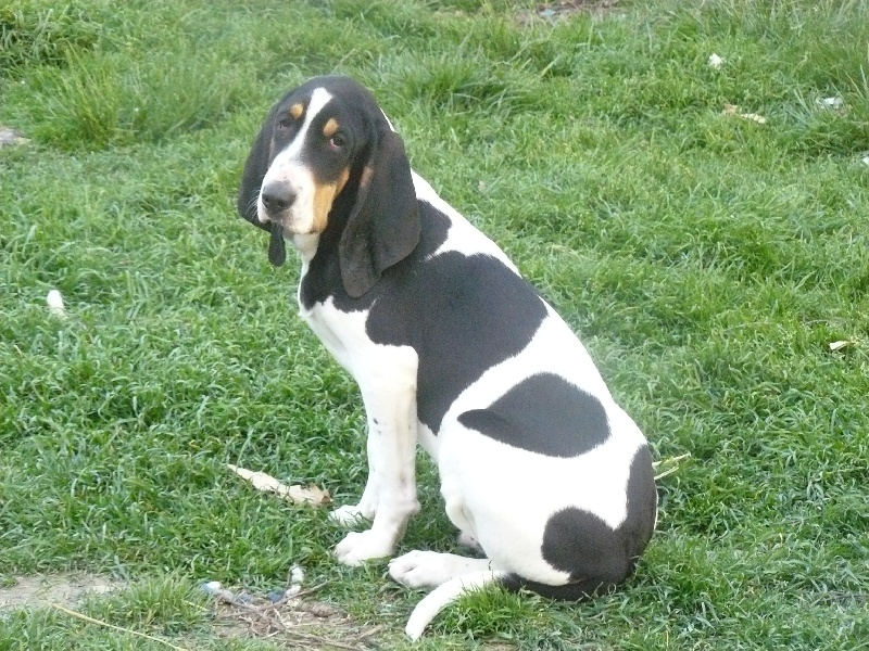 Publication : Des hauts d'en maze