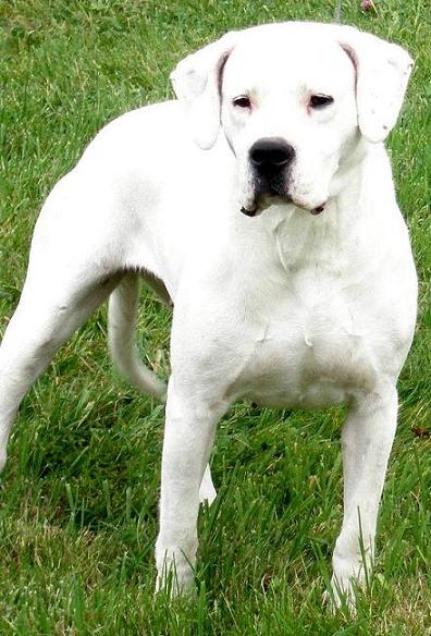 Lacar Di casa dei marchesi