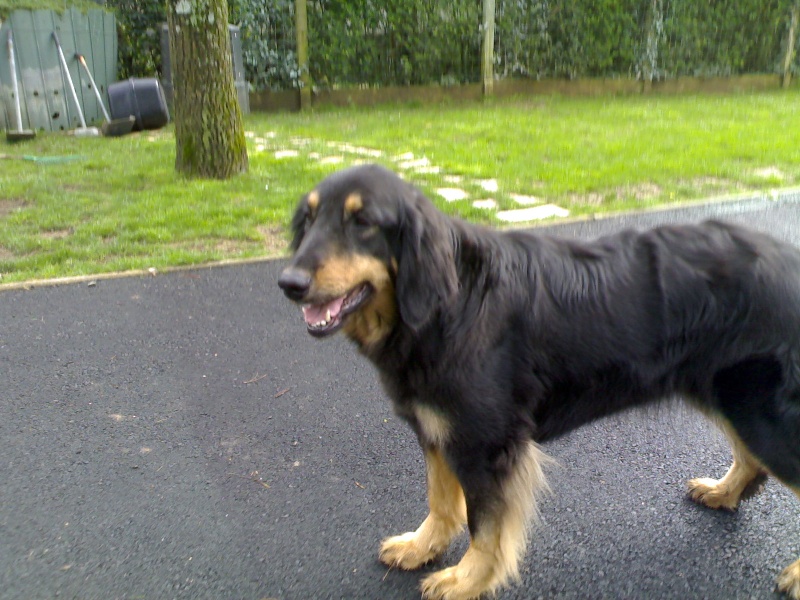 Publication : des Lys de Saint Augustin 