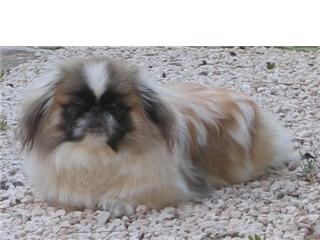 Publication : (Sans Affixe)