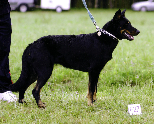 Uxane des assiers De la rosée des prés