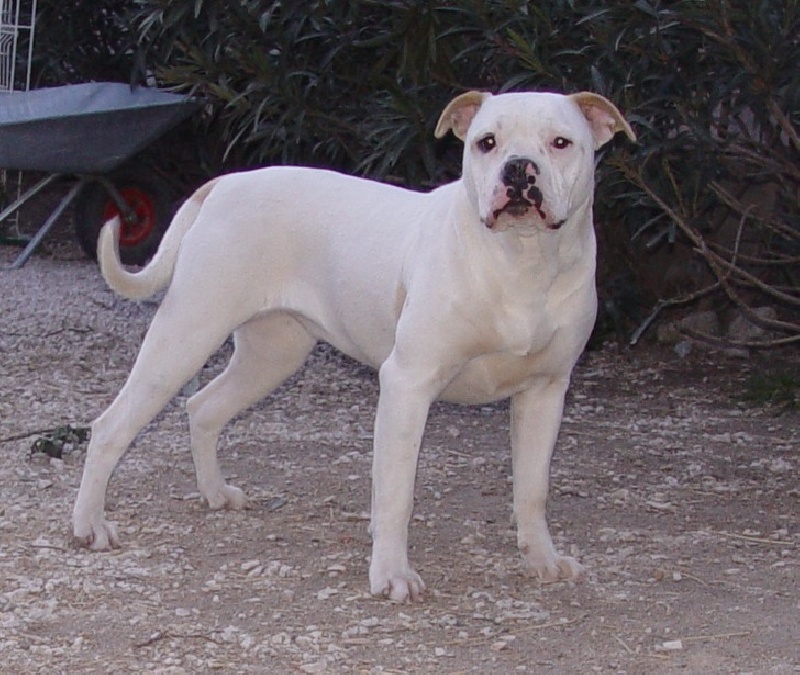 Publication : Les étangs de magrignane 