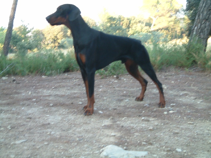 Von hagenstolz des sentiers battus