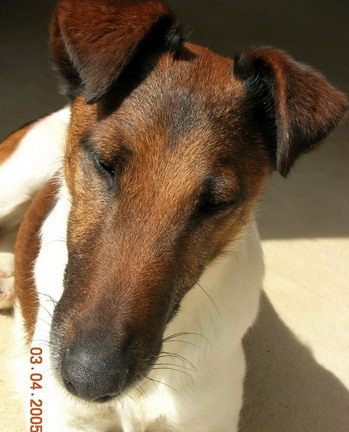 Polo de Grandrieux