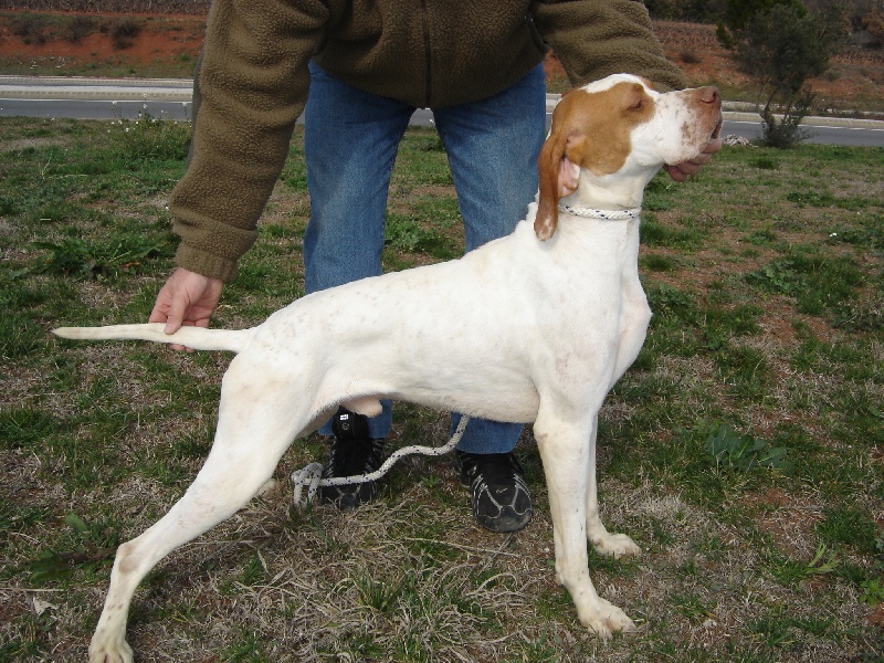 Publication : du mas de la meule Auteur : Pierre Budin